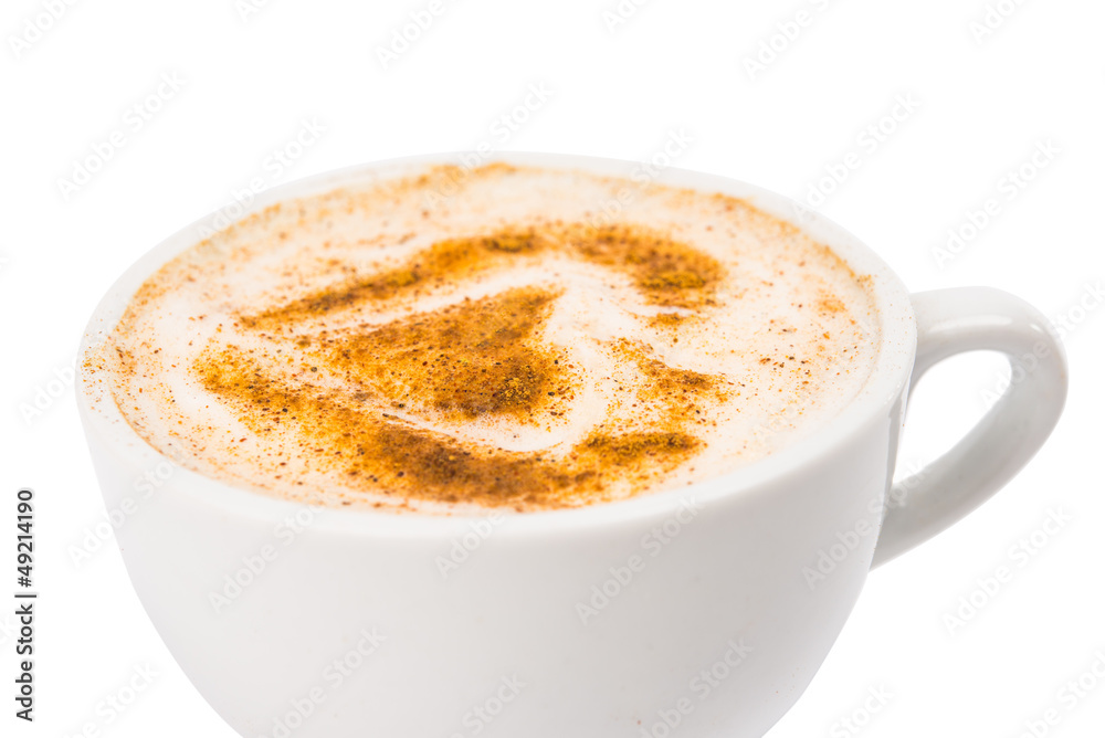 A Cup of Cappuccino with Froth, Cinnamon A Cup of Cappuccino with Froth, Cinnamon