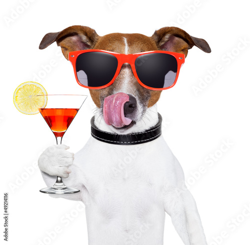 dog with cocktail © Javier brosch