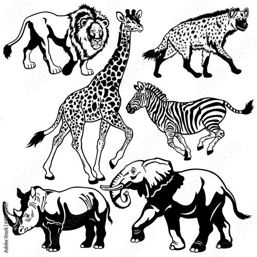 set with africa animals black white