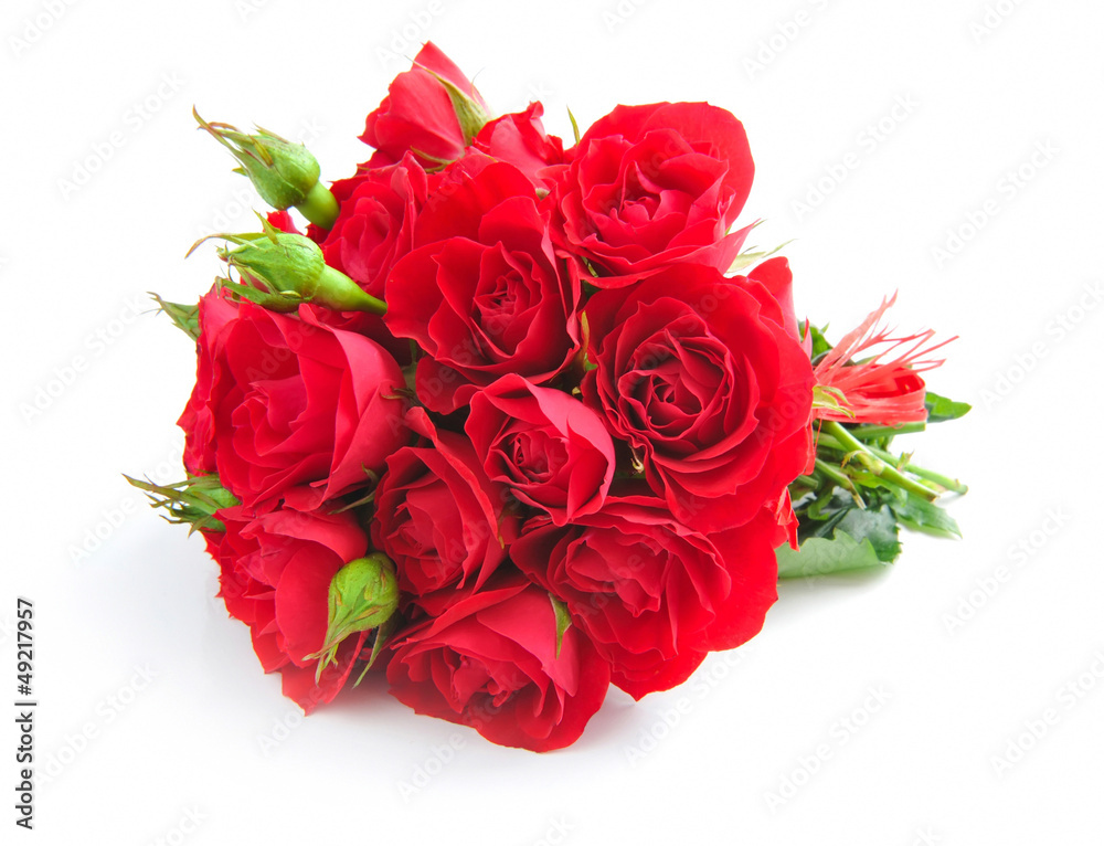 Obraz premium Red roses on white background
