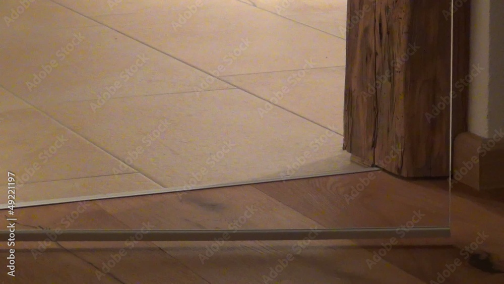 video glasschwingtür I