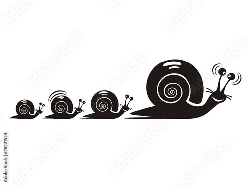 Caracol_2