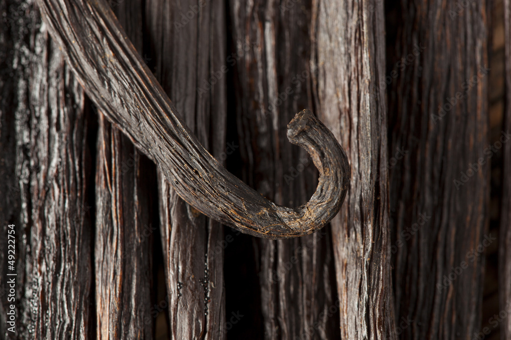Fresh Brown Organic Vanilla Bean Fresh Brown Organic Vanilla Bean