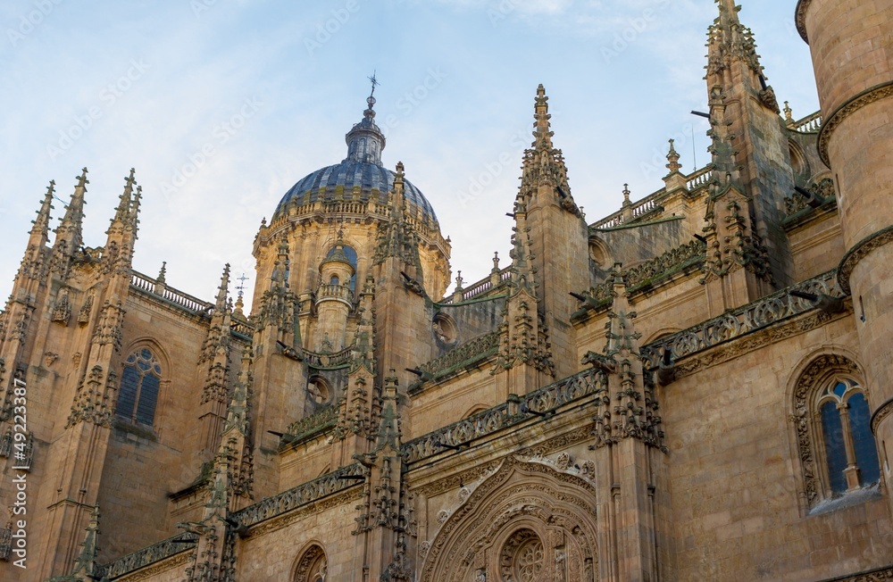 Salamanca Cathedral, made of sandstone, from a low angle