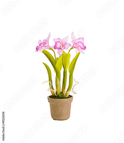 Artificial orchid flower isolated on white background
