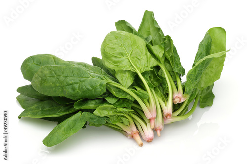 bunch of fresh spinach