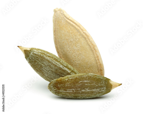 Wallpaper Mural Pumpkin seeds Torontodigital.ca