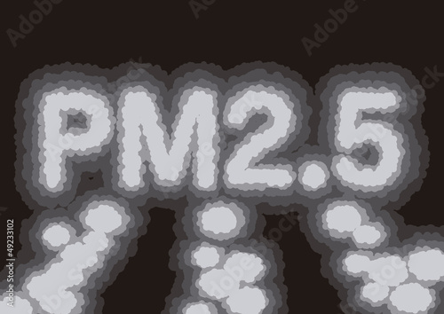 微小粒子状物質PM2．5
