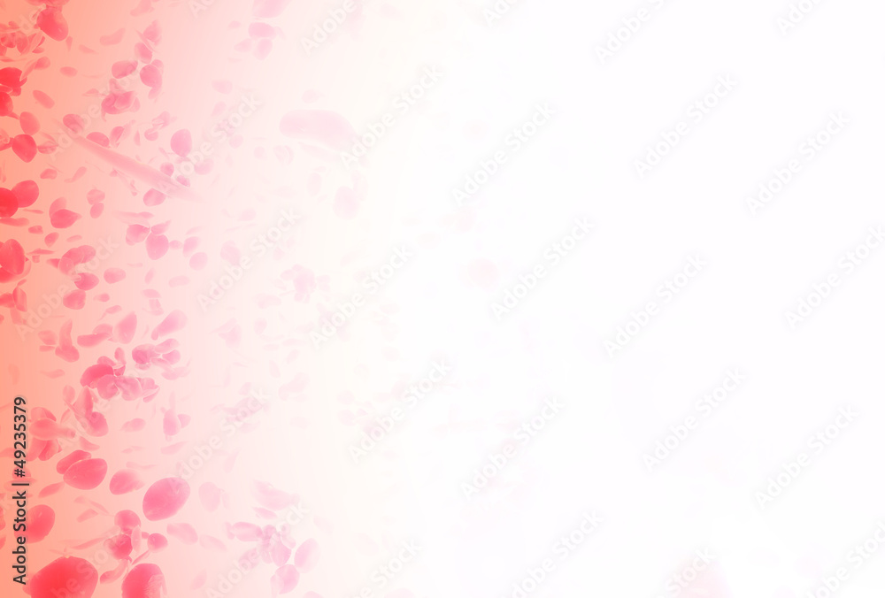 valentine background with falling red rose petals valentine background with falling red rose petals