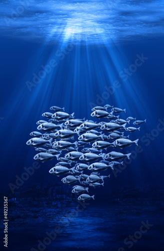 fish swarm forming a heart underwater scene.