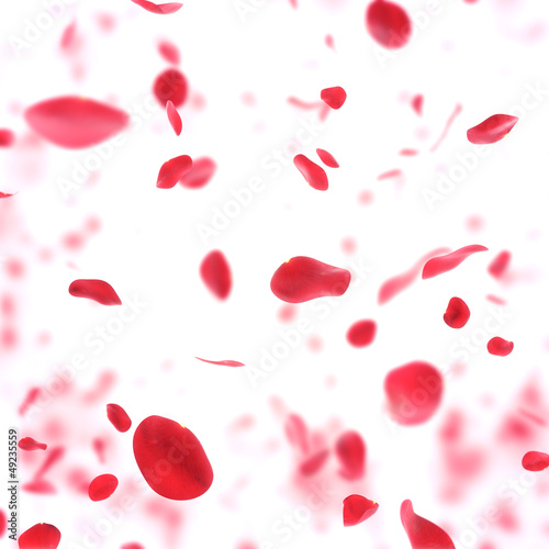 Vászonkép valentine  background with falling red rose petals