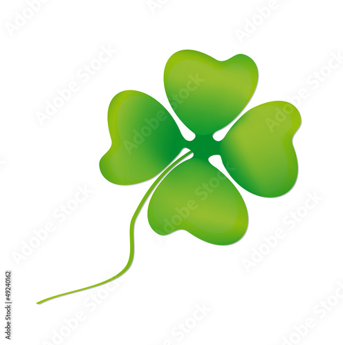 Leaf clover on white background