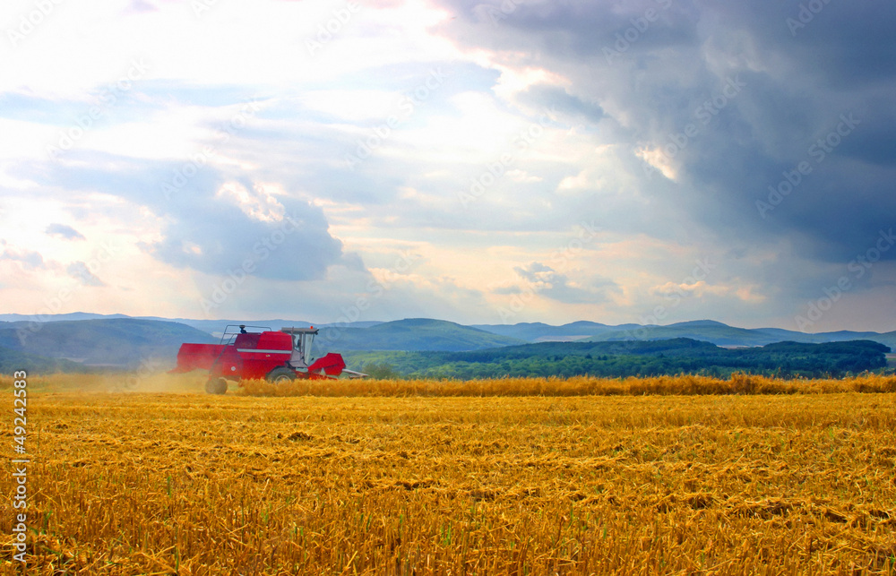 Naklejka premium Landwirtschaft