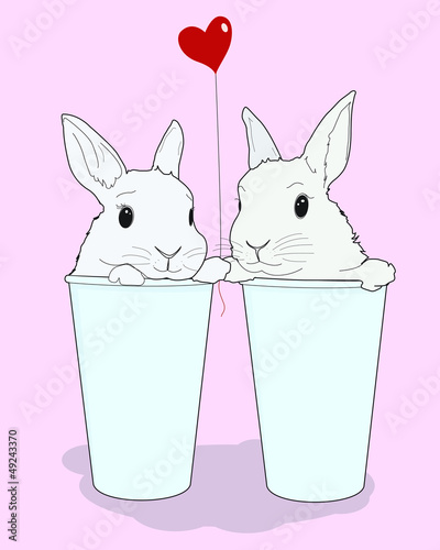 lovely bunny