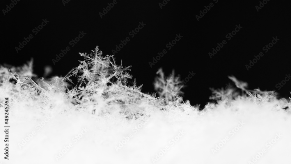 Fototapeta premium Snowflake in white snow
