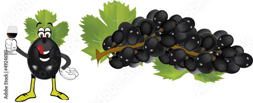 grappolo uva nera