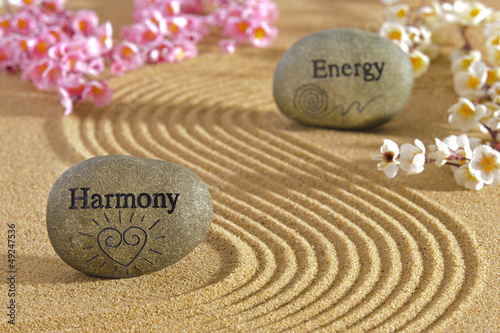 Photography zen garden with harmony and energy