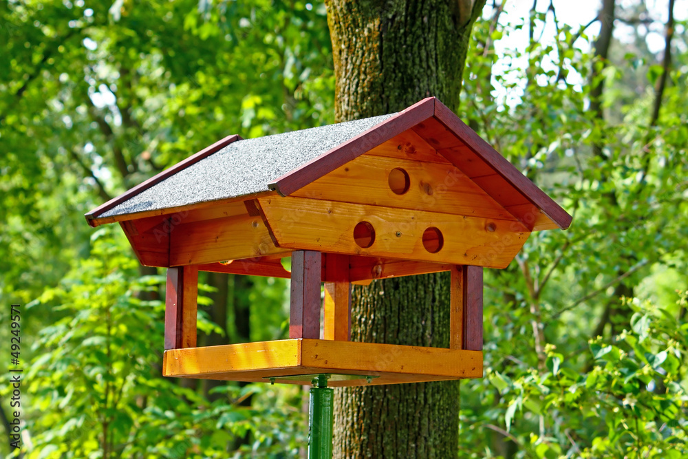 Bird feeder Bird feeder