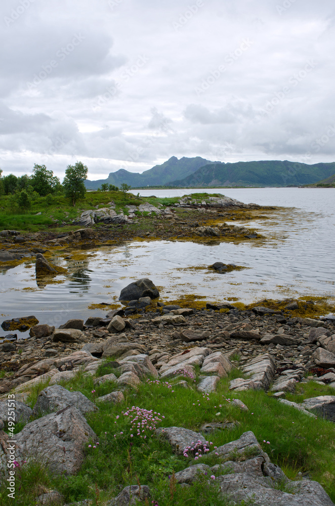 Obraz premium Fjord wild landscape, Lofoten Islands, Norway