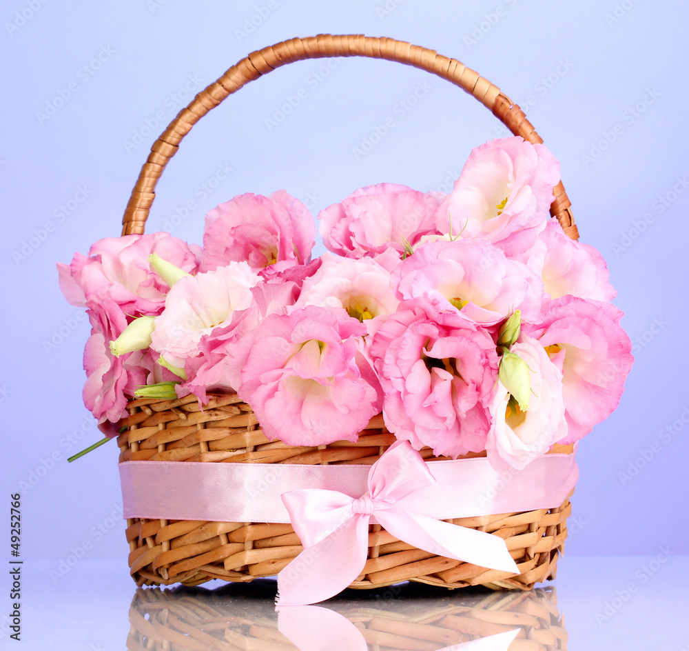 bouquet of eustoma flowers in basket, on blue background bouquet of eustoma flowers in basket, on blue background