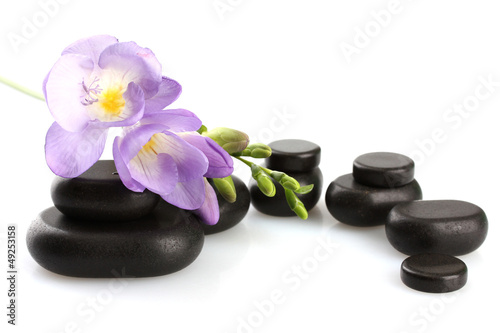 Spa stones and purple flower, isolated on white