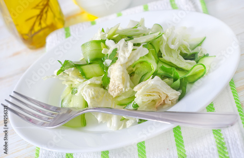 Portion of salad with cabbage and cucumber