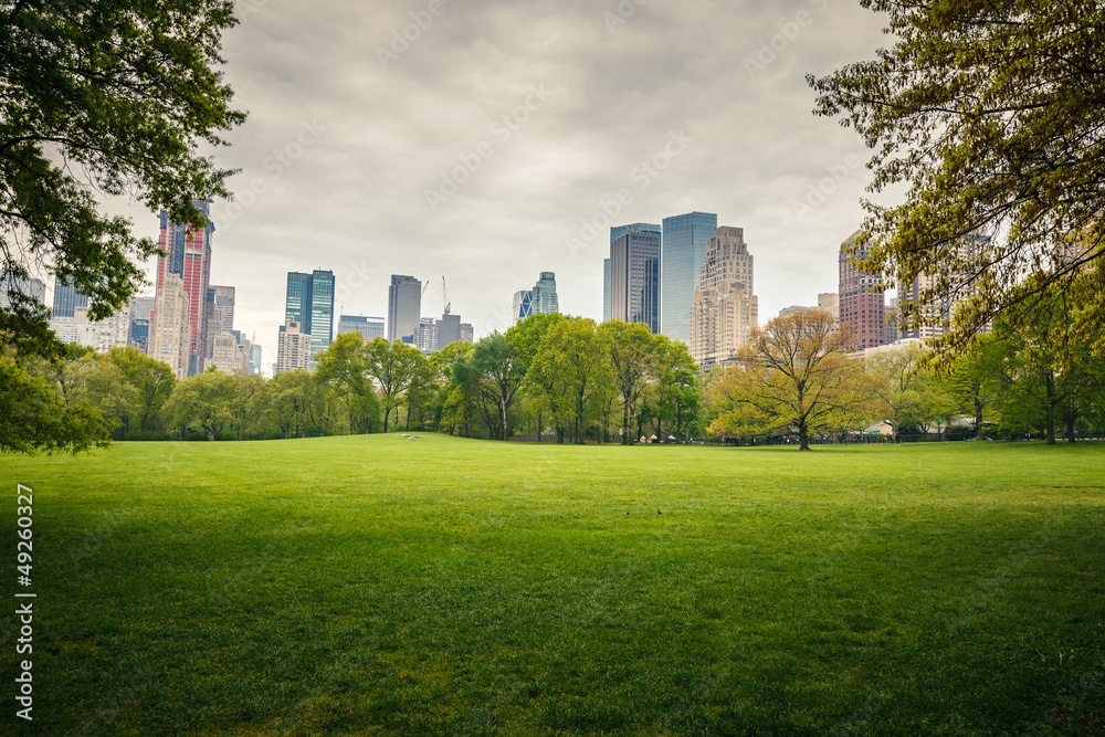 Fototapeta premium Central park w deszczowy dzień