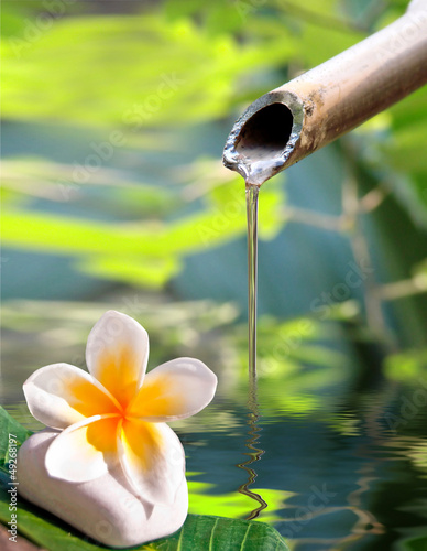 Fontaine en bambou, fleur de frangipanier