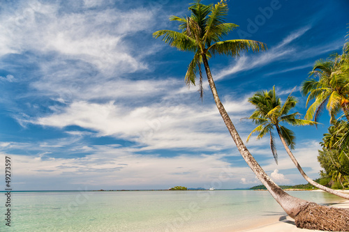 Tropical beach with palms and blue sky