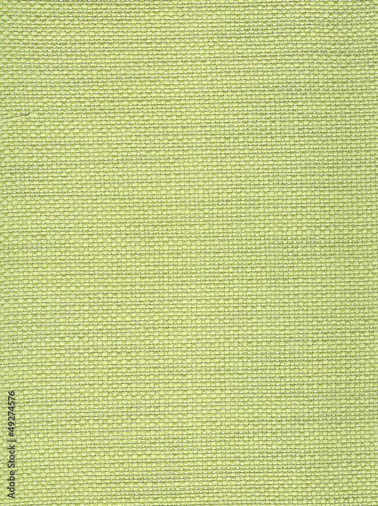 Fototapeta premium Fond vert très clair.
