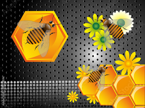 Bees and honeycomb cells