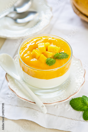 Mango  yogurt