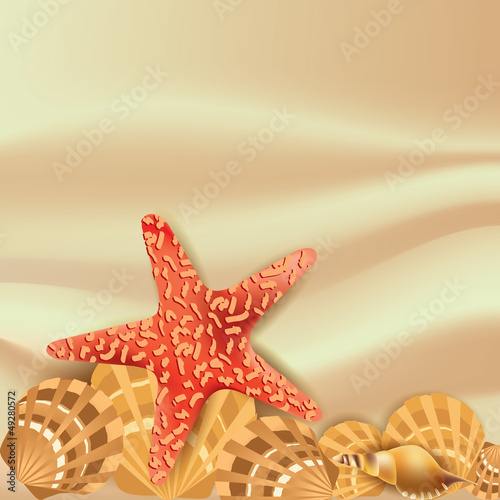 vector abstract background with sea shells