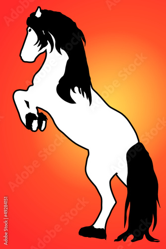 Steigendes Pferd, schwarz weiss, vor Sonnenuntergang