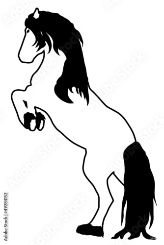 Steigendes Pferd, schwarz weiss