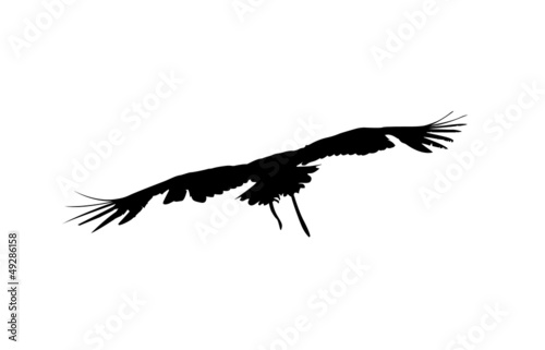 Flug