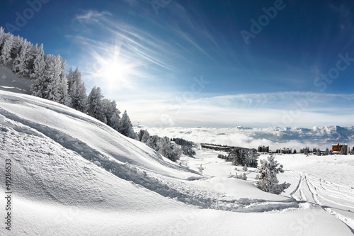Trace snowboard
