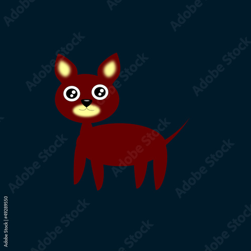 il cucciolo