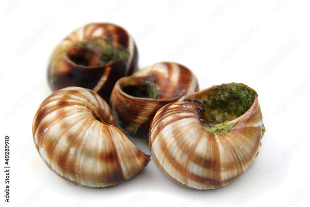 escargots escargots