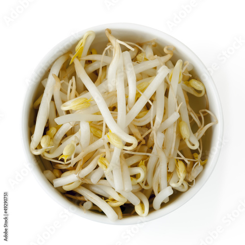 Bean Sprouts Isolated