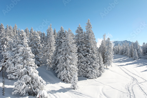 Paysage de montagne en hiver
