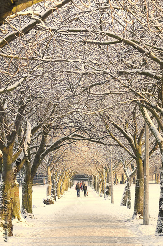 Winter pathway, Edinburgh, Scotland