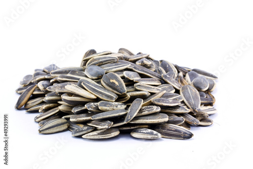 sun flower bean  on white background