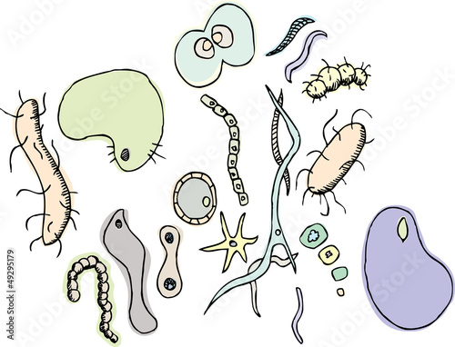 Various Bacterium