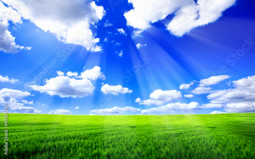 Beautiful spring landscape