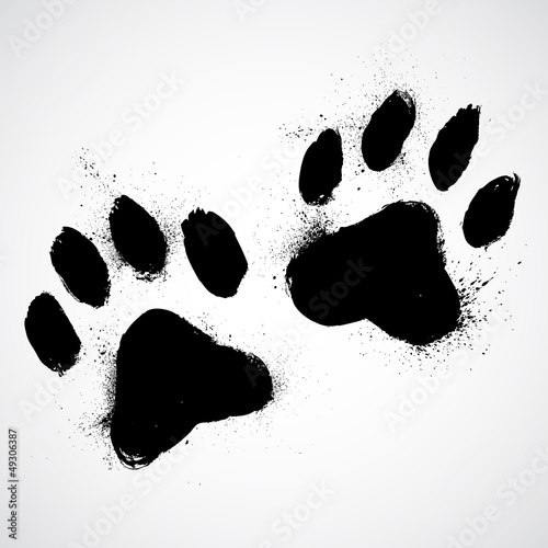Grunge dog paws photo