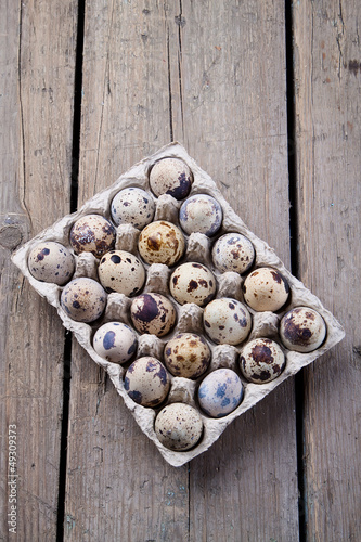 Quail eggs in the packing