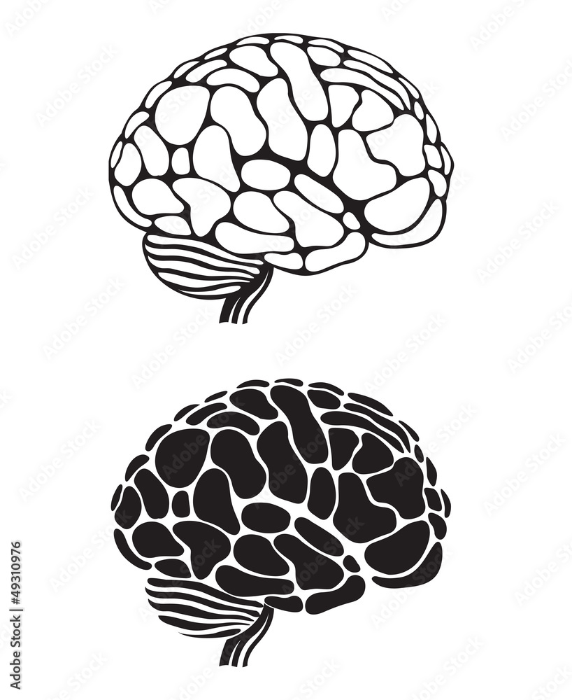 human brain human brain