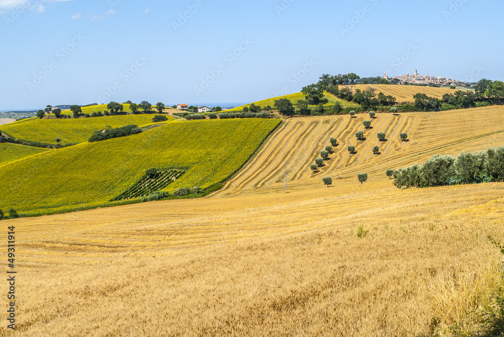 Marches (Italy) - Landscape