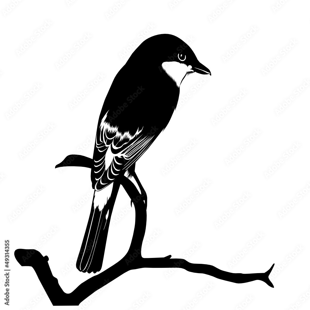 Small bird on a tree branch Small bird on a tree branch
